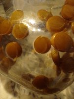 IMG_20240107_111841.jpg