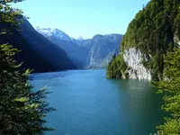 1704740741784.webp