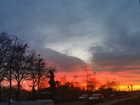 IMG_20230313_184653.jpg