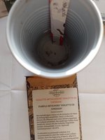 IMG_20240108_141700.jpg