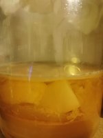 IMG_20240109_184345.jpg