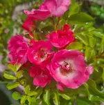 20240110_134812.webp