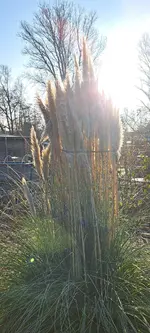 20240111_101841.webp