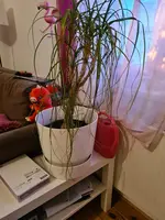 20240111_154253.webp