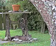 IMG_4315 V (2).webp