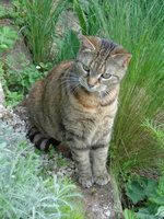 DSC00529.JPG