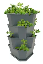 Screenshot_20240112_220502_Amazon Shopping.webp