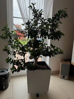 IMG_7255.jpeg