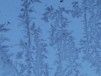 DSCF3172.JPG
