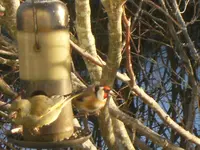 DSCF3170.JPG