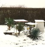 IMG_1491.JPG