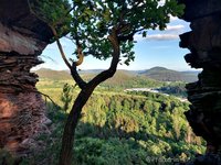 Ausblick im Dahner Felsenland.jpg