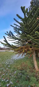 20240116_132108.webp 20240116_132108.webp