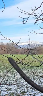 20240116_131448.webp 20240116_131448.webp