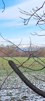 20240116_131448.jpg