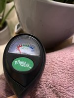 IMG_7302.jpeg