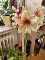 20231229_131600.webp