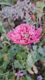 20230630_193157.webp