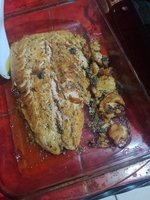 IMG_20240117_195446.jpg