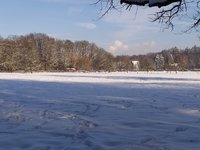 IMG_20240118_142115.jpg