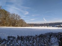 IMG_20240118_141856.jpg