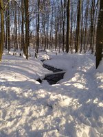 IMG_20240118_143400.jpg