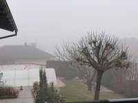IMG_20240118_153406.jpg