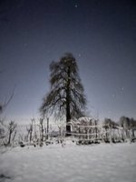 IMG_1510.jpeg