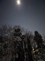 IMG_1513.jpeg