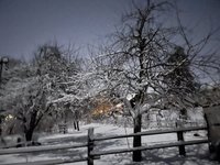 IMG_1512.jpeg