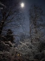 IMG_1505.jpeg