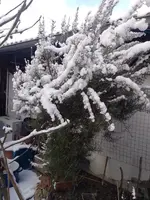 IMG_20240120_122747.jpg