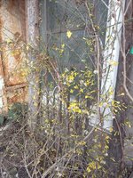 IMG_20240120_122837.jpg