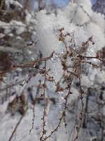 IMG_20240120_123757.jpg