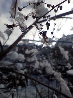 IMG_20240120_123826.jpg