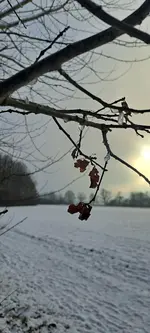 20240120_152148.webp