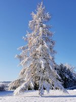 IMG_20211210_084343.jpg