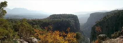 3_pan.webp