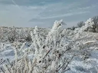 IMG_0125.webp IMG_0125.webp