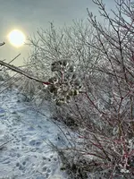 IMG_0128.webp IMG_0128.webp