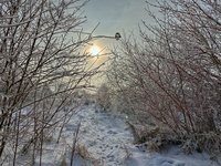 IMG_0127.jpeg