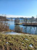20240121_144242.webp