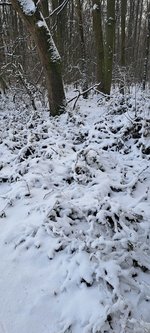 20240121_150152.jpg