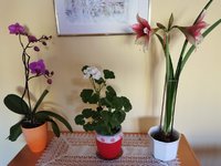 IMG_20240122_083552.jpg