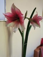 IMG_20240122_083529.jpg