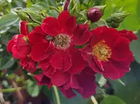 20240115_180320.webp