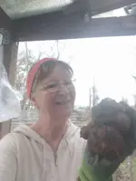 IMG_20240124_151440.webp