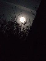 IMG_20240124_181010.jpg