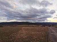 IMG_20240124_164206.jpg