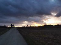 IMG_20240124_170311.jpg